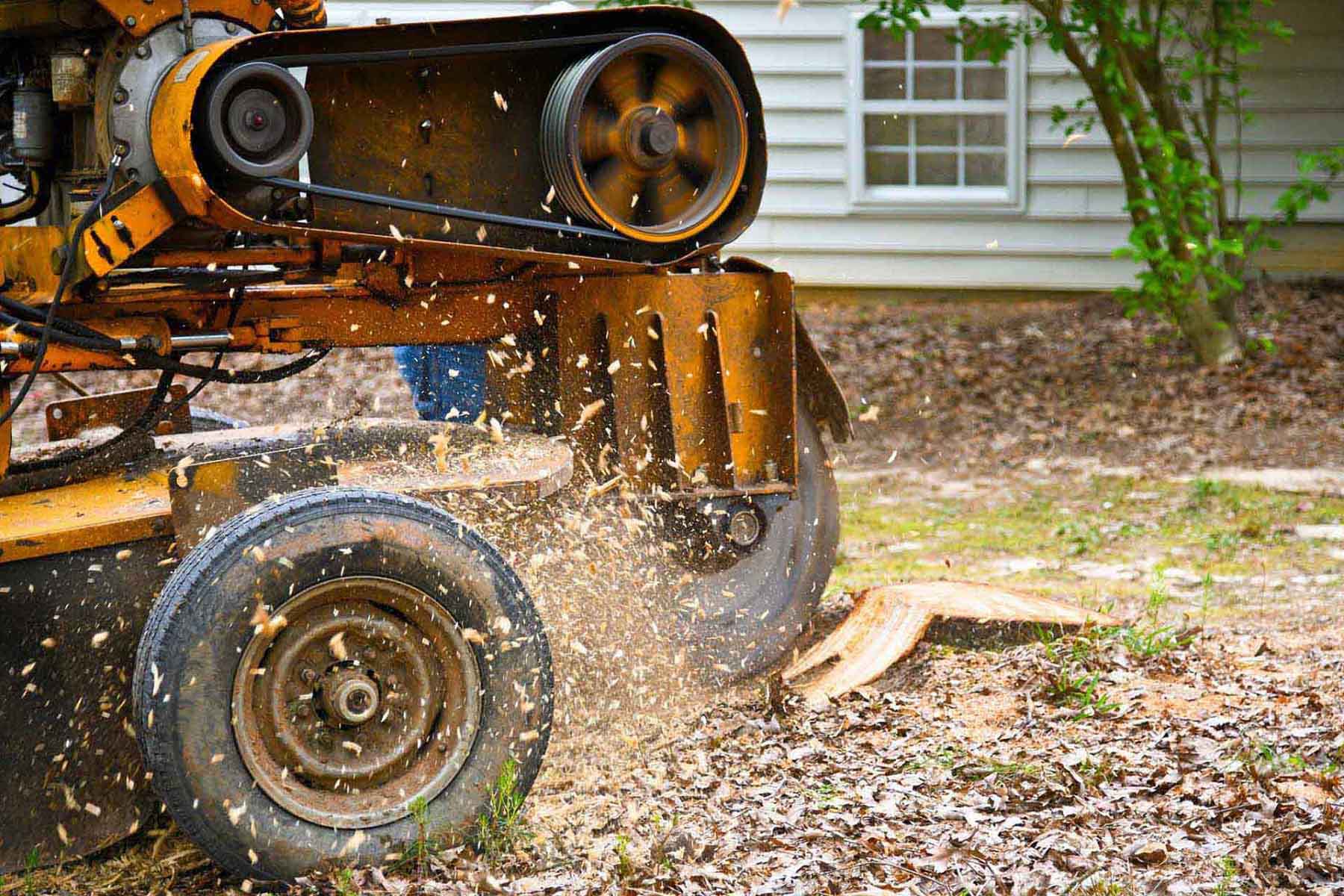 You can trust a company like Central Virginia Tree Service Experts that provides exceptional tree solutions for yard-shaping requirements.